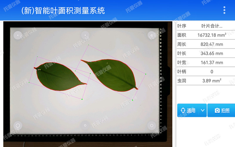 智能叶面积测量系统YMJ-CHA3测量界面图